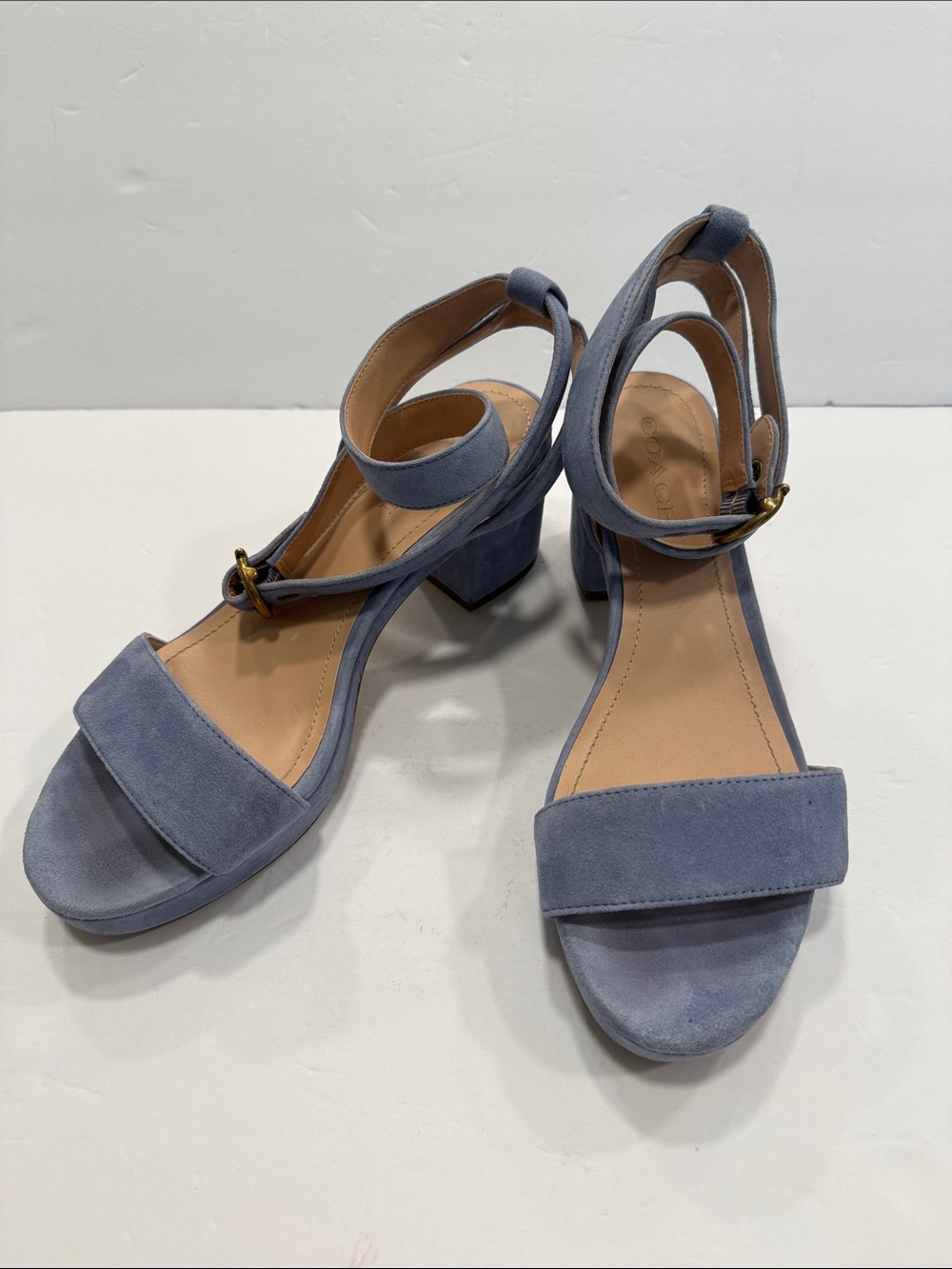 Coach Serena Suede Block Heel Sandals in Powder Blue 9.5